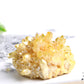Electroplated Crystal Quartz - Bloom N Bliss Boutique